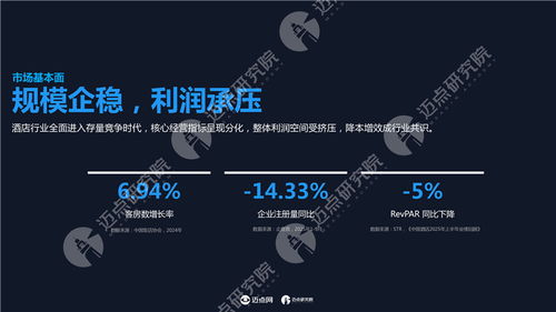 2025年中国酒店投资运营与品牌发展报告