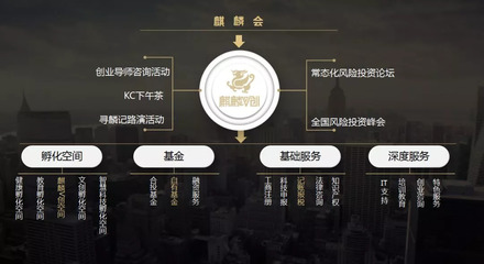 麒麟V创 构建天使投资生态，赋能创业服务新高度